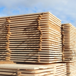 In 2022, the sawn timber export from Russia dropped to an 8-year low