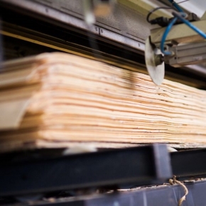 Plywood production in Russia fell by 41.2% in January