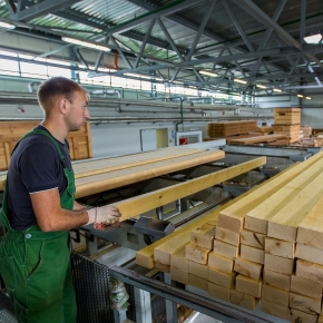 In 2022, sawn timber production in Russia decreased by 10.3%