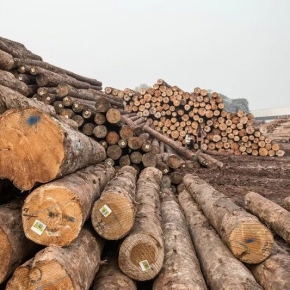 China: Decline in log imports from all the main suppliers