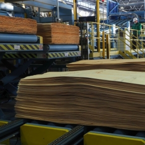 Russian plywood output increased in June 2023