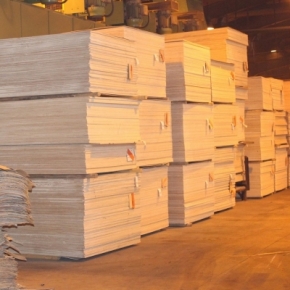 Plywood mill restoration is planned in the Vologda Region