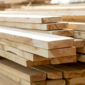 A woodworking complex worth 8.5 billion rubles will be created in the Krasnoyarsk Region