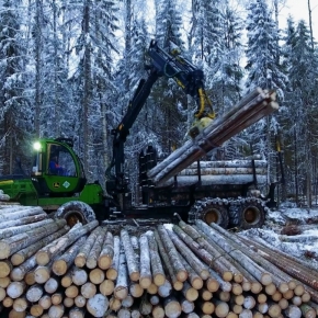 Rates of timber harvest decline relative to 2022 are decelerating