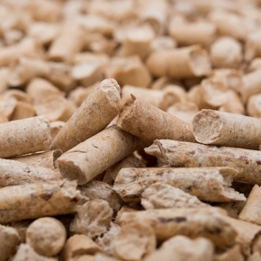 Half of wood pellets produced in Russia remains in the domestic market