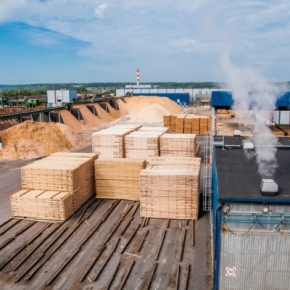 VLP Group may purchase Metsä's timber assets in Russia