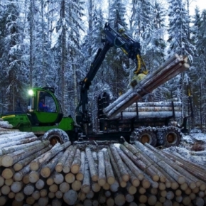 Rosleskhoz: the volume of transported timber grew by 12.9% in 2023
