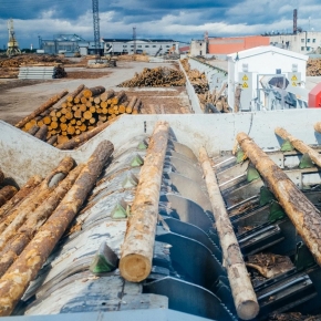 In 2023, investment in the Russian timber industry dropped by 4.8%, down to 188.8 billion rubles