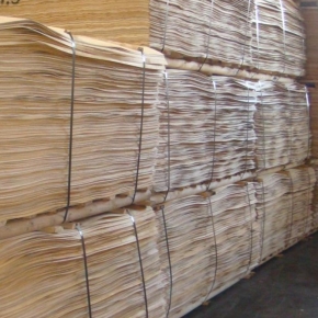 Birch veneer export from the Vologda Region surged by almost one third