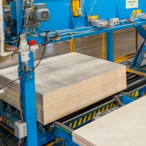 Russian plywood production grew by 3.9% over 8 months of 2024