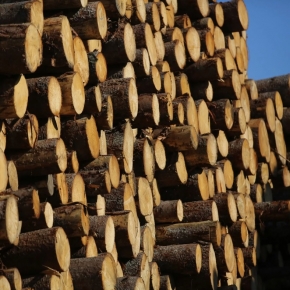 VLP Group shared the problems of timber cargo logistics with the State Duma