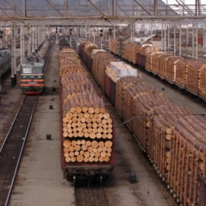 Красноярский край занял второе место в Сибири по экспорту древесины