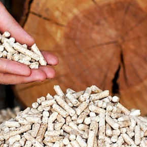 Деревообрабатывающая компания из Республики Коми наладила поставки топливных брикетов в Евросоюз