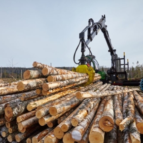 «Судима» совместно c «Кей Джи Кей» планируют запустить проект по созданию лесоперерабатывающего комплекса в Приморье и Забайкалье