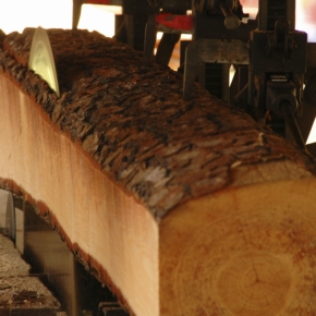 ООО «ТехноМодель» реализует в Тюменской обл. масштабный инвестпроект по переработке около 300 тыс. кубометров древесины ежегодно