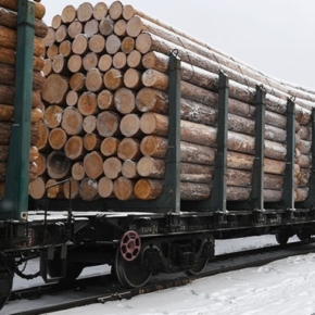 В январе-феврале 2020 г. экспорт круглых лесоматериалов из Дальнего Востока упал на 27,4%