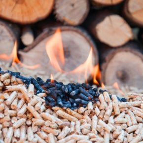 За год использование древесного топлива в Финляндии достигло рекордных объемов