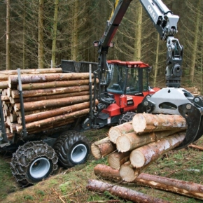 Рослесхоз: объём заготовленной древесины в России снизился на 8% в 2019 г.