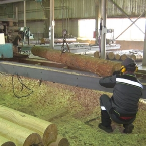 В Амурской обл. введен в эксплуатацию деревообрабатывающий завод «Восточный»