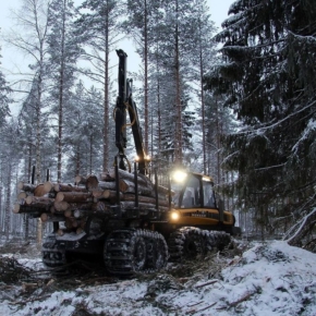 В январе-октябре 2020 г. Финляндия сократила заготовку древесины на 14%