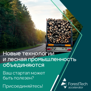 ForestTech Accelerator поможет крупнейшим российским ЛПК провести цифровую трансформацию