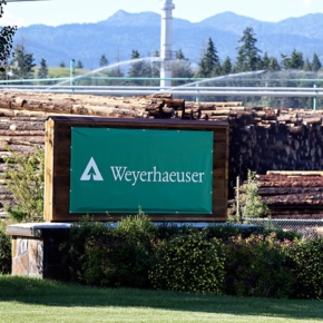 Weyerhaeuser приобретает у Greif 28 тыс. га лесных участков в США