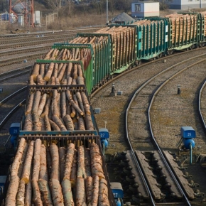 Китай ограничил поставку лесных грузов на двух ж/д погранпереходах с Россией