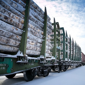 РЖД сообщает о заметном снижении вывоза лесных грузов из России в декабре