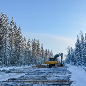 Благоприятная погода способствовала активной лесозаготовке в конце 2021 г.
