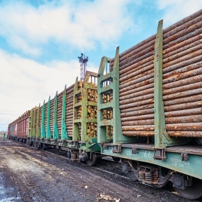 Российские ЦБК стараются не обваливать цены на лесосырье
