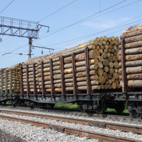 Литва запретила России провоз древесины в Калининградскую обл. через свою территорию