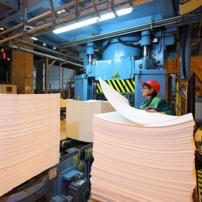 ЕС может полностью запретить импорт древесины и бумажной продукции из России