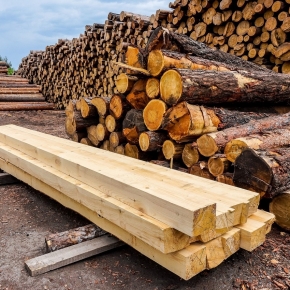 За 8 мес. 2022 г. Карелия экспортировала более 850 тыс. м³ лесопродукции