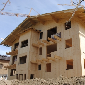 Правительство РФ запустило программу субсидирования строительства деревянных домов