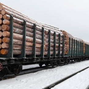 «РЖД»: в 2022 г. перевозка круглых лесоматериалов на Восточный полигон выросла на 35,8%
