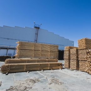 В Красноярском крае планируют открыть деревообрабатывающее производство за 3 млрд руб.