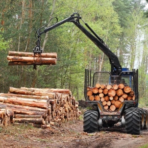 Лесозаготовителям Нижегородской обл. предоставят отсрочку арендной платы за лесные участки