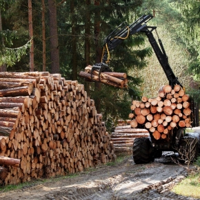 По итогам 2022 г. Группа «Илим» стала крупнейшим лесозаготовителем в России