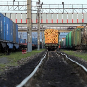 «РЖД-Партнер»: погрузка лесных грузов на сети РЖД остается в глубоком минусе