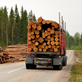В 1 пол. 2023 г. сформировано более 4 млн ЭСД на транспортировку древесины
