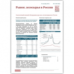 Рынок лесосырья в России 09-2023: проблема реализации березовых балансов продолжает усугубляться