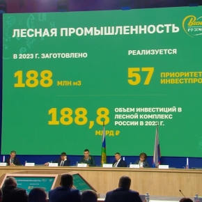 Рослесхоз: по итогам 2023 г. объем лесозаготовки в России составил 188 млн м³