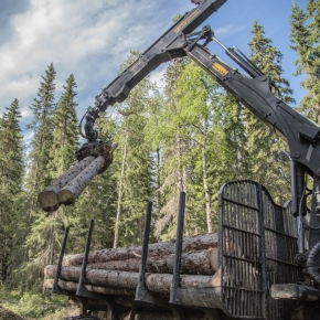 Segezha Group откроет в Карелии сервисный центр для лесозаготовительной техники